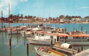 FL, Florida  CLEARWATER MARINA Dock~Boats Miss Elsie   c1950's Chrome Postcard