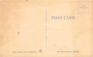 A Grand View Risque Comic Old Couple c1940s Linen Vintage Postcard 