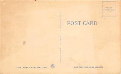 A Grand View Risque Comic Old Couple c1940s Linen Vintage Postcard 