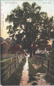 Netherlands Bergen Noord Holland Smalle Paadje Vintage Postcard 09.18