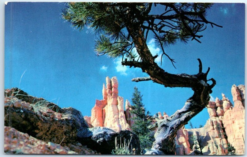 Postcard - Queen's Garden, Bryce Canyon National Park - Utah