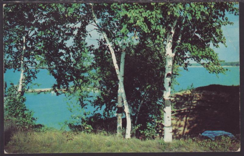 Pointe Aux Barques,MI Postcard BIN