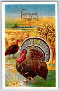 Syracuse New York NY Postcard Thanksgiving Greetings Turkey And Wheat 1914