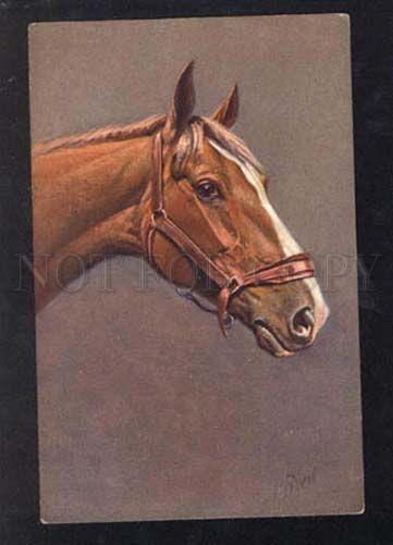 026021 Head of Charming HORSE. Sign RIVST Vintage PC