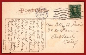 Gnarled Trees In Park - [MX-1201]