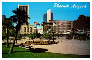 Postcard PARK SCENE Phoenix Arizona AZ AS2328