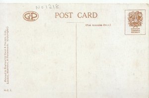 Middlesex Postcard - Hampton Court Palace -The Lion Gates - Ref TZ3969