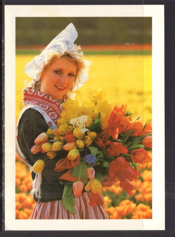 Tulips,Breck Holland Advertising BIN