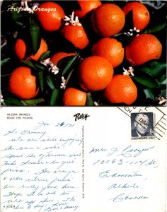 Arizona Oranges (10827)