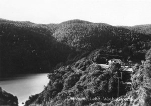 Lake Waikaremoana Hotel New Zealand Plain Back Postcard Photo