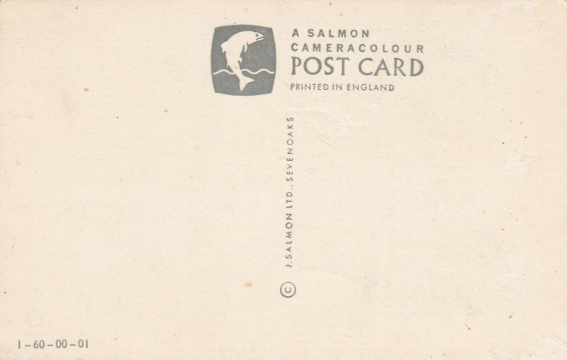 THE SURREY HILLS - Vintage POSTCARD