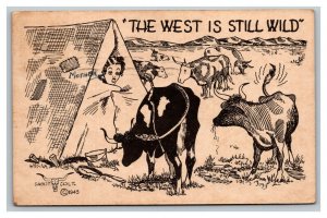 Vintage 1945 Comic Postcard - Camper on the Prairie - Cows - The West is Wild