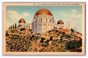 Los Angeles California The Planetarium Griffith Park Postcard Cactus