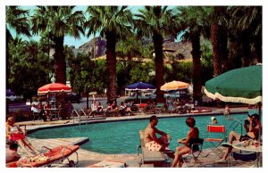 Postcard SWIMMING POOL SCENE Phoenix Arizona AZ AR9591