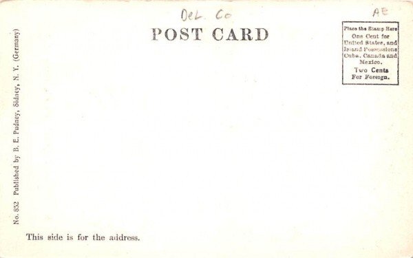 Sidney Water Company's Grounds New York Postcard