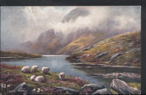 Wales Postcard - Sheep, Art, Snowdon, Llyn Idwal, Welsh Mountain Scenery RS4559