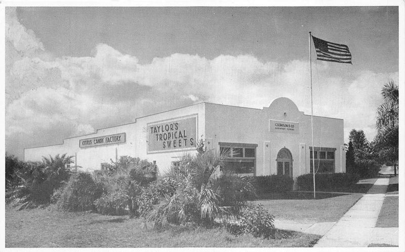 Davenport Florida~Taylor's Tropical Sweets~Citrus Candy Factory~1950s B&W Pc