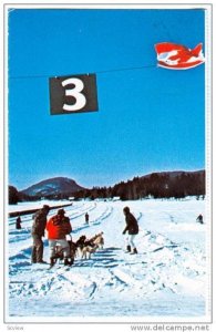 Dog sled races on Lac des Sables, Ste-Agathe-des-Monts, Quebec, Canada, 40-60s