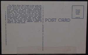 Black Hills, SD - Inspirarion Peak, Cedar Pass