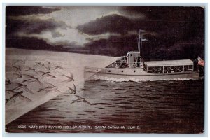 c1910 Watching Flying Fish Night Light Santa Catalina Island California Postcard 