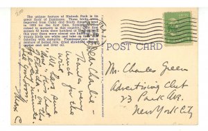 FL - Miami. Hialeah Park, Flamingos & Nests