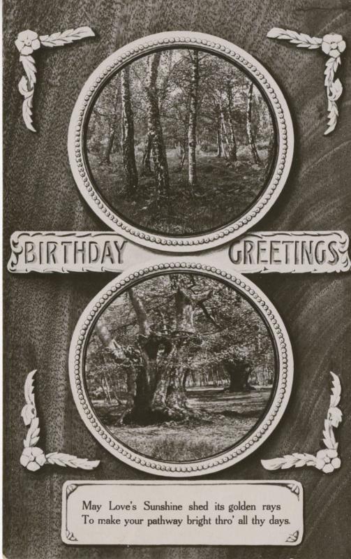 Birthday Greetings Trees May Loves Sunshine Vintage Davidson Bros Postcard