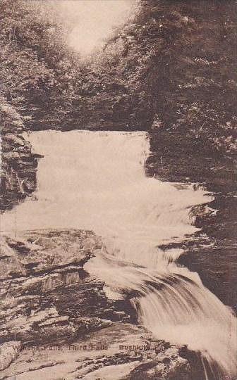 Winona Falls Third Falls Bushkith Pennsylvania Albertype