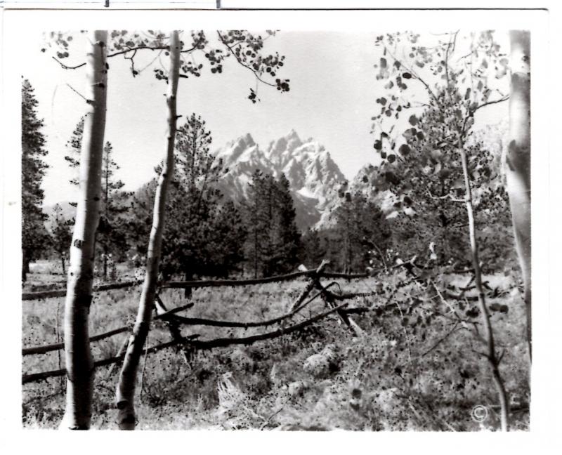 Haynes, 40355, Grand Teton Mtn. Teton National Park