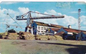 Mexico Tamps Ciudad Mante El Mante Sugar Mill
