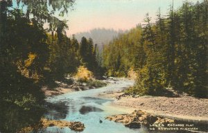 Postcard California Lane's Redwood Flat Hand Colored Unposted 