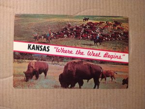 1970's Greetings from Kansas Western Horses Cows Chrome Postcard