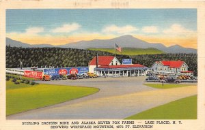 J58/ Lake Placid New York Postcard Linen Sterling Mink & Silver Fox Farm 338