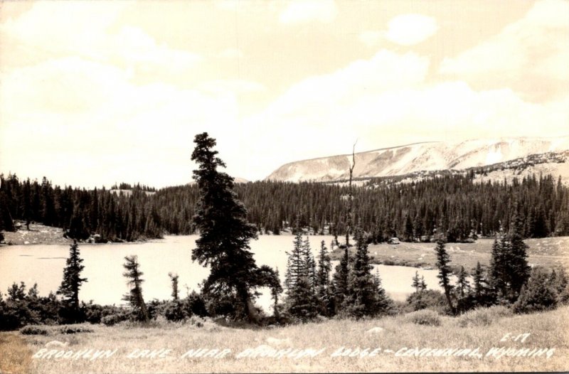 Wyoming Centennial Brookman Lake Near Brooklyn Lodge Real Photo