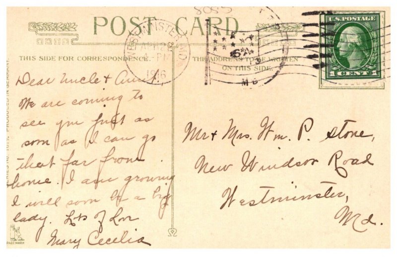 Easter Chickens Chicks in Nest