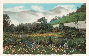 Postcard Mount Pisgah North Carolina
