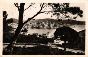 CPA BANYULS-sur-MER Vue a travers les Pins (375991)