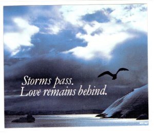 Peel Off Plasticized Postcard Coaster, Romantic, Storms Pass Love Remains