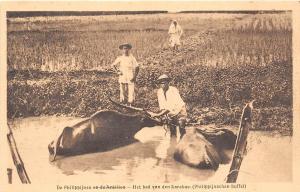 B86425 het bad van den karabao the bath buffalo types folklore   philippines