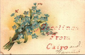 Embossed Postcard Illinois Greetings from Cairo Forget-Me-Not Flowers 1907 V205