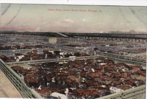 Illinois Chicago Union Stock Yards Cattle Pens