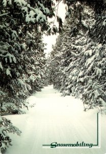 Minnesota Snowmobiling In The North Country