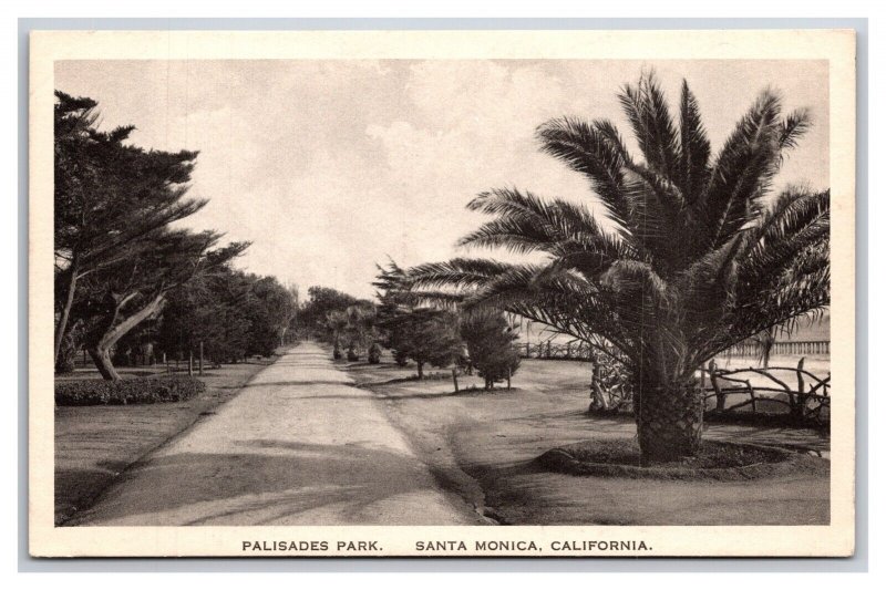 Palisades Park Santa Monica California CA UNP WB Postcard Z9