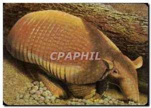 Image The Giant Armadillo Mickey