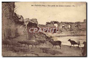 Old Postcard Frejus A Party Roman Arenes Sheep