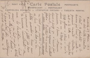 Tunisia dans l'Oasis Vintage Postcard C386