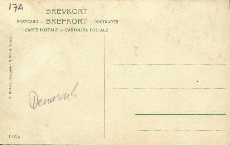 denmark, NØRRE NEBEL, Jutland, Afholdshotelet (1910s) Postcard 