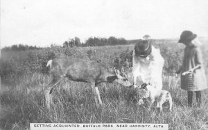Postcard Canda Hardisty Deer Dog woman 1926 Buffalo Park  23-7449
