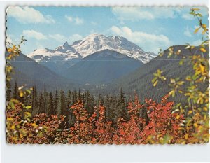 Postcard Mount Rainier & White River Valley Washington USA