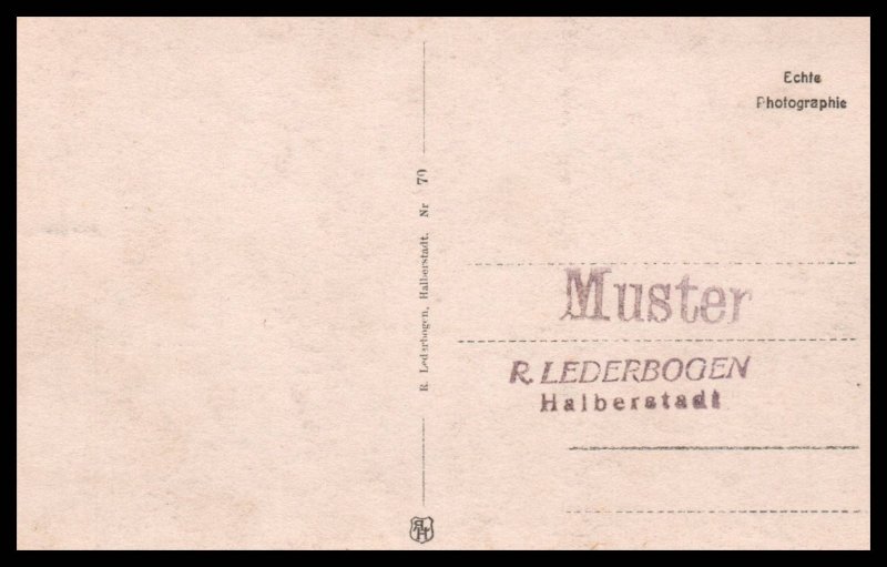 Rumpelstilzchen,Harz in Winter,Germany BIN