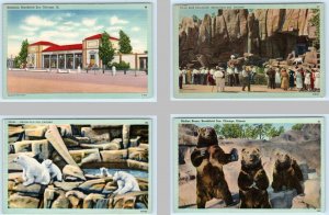 4 Postcards CHICAGO, IL ~ Polar Bears BROOKFIELD ZOO Entrance Kodiak Bears 1940s